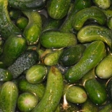 Zašto i koliko sati treba namakati krastavce prije kiseljenja